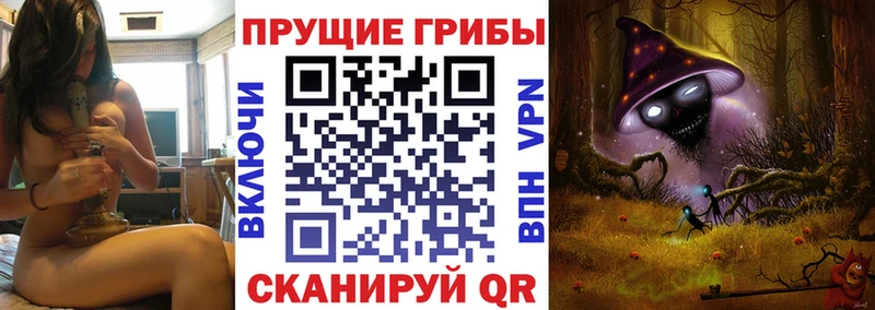 Псилоцибиновые грибы Cubensis  Шелехов 